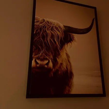 Le Quatre F Hébergement de vacances *